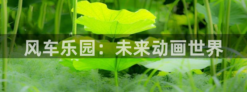 樱花动漫404：风车乐园：未来动画世界